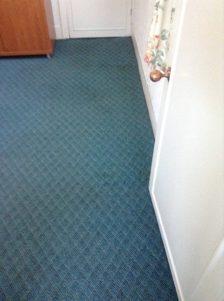 Revive Carpet Cleaning's picture gallery
